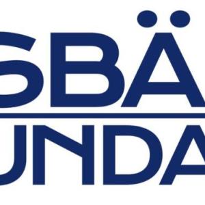  Eisbären Foundation logo