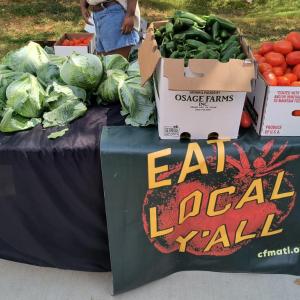 Variety of produce available at the Free Produce Market