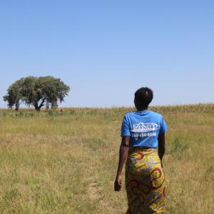 Zambia's drought, declared a national emergency in February, has destroyed crop fields across the country. 
