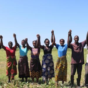 In the Lukanda Agriculture Camp, farmers work together to grow drought-resistant cowpeas, known elsewhere as black-eyed-peas. Photo by: Kenneal Patterson / Action Against Hunger