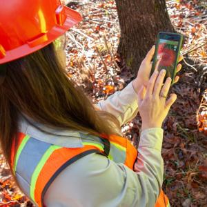 A person using a phone in a forested area
