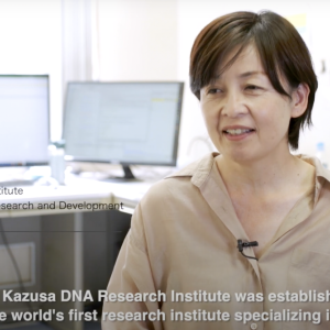 Sachiko Isobe PhD at Kazusa DNA Institute Japan.