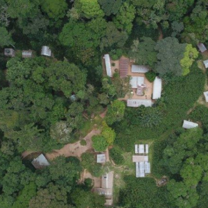The conservation station of Magdalena in the rain forests of the congo.