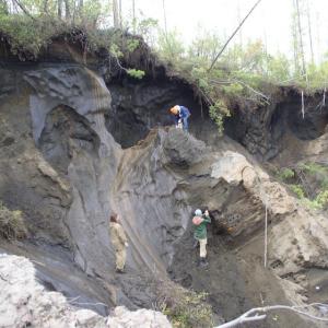 Mountain climbers on the side of a hill.