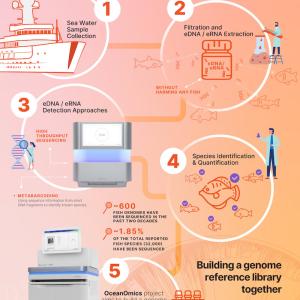 Info card detailing the health of Marine ecosystems using genomics.