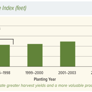 Rayonier U.S. South Pine Site Index (feet)
