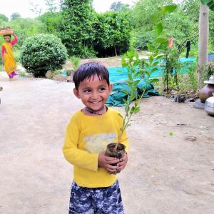 child holding a young plant