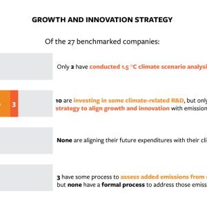 Figure 2: Growth and Innovation Strategy