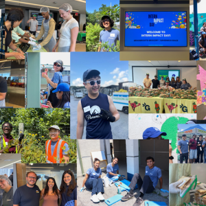 collage of photos from volunteering events