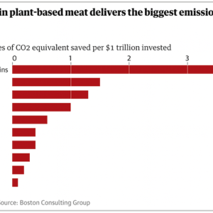 Investment in Plant-based Proteins