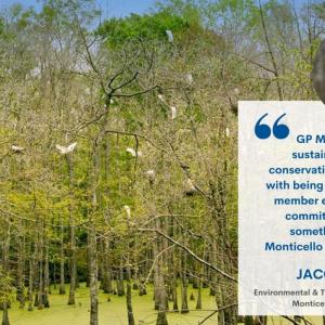 Picture of trees with a quote from JACOB VIGH, Environmental & Transformation Manager, Monticello, Mississippi. The quote reads “GP Monticello's sustainability and conservation efforts along with being a certified WHC member exemplifies our commitment. This is something GP and Monticello can be proud of.”