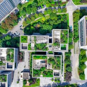 Decarbonizing Our Cities is Within Reach