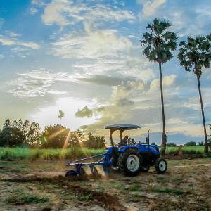 Blue tractor working in a field with tall palm trees in the background