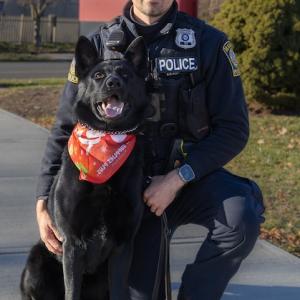 K-9 Jet shown with a Hamden Police Officer.