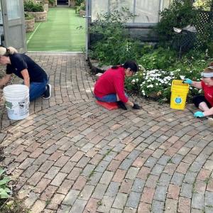 KeyBank volunteers working on a garden path.