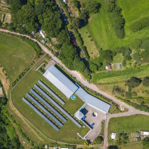 Collaboration at Scale: Unlocking Flexibility for Energy Optimization