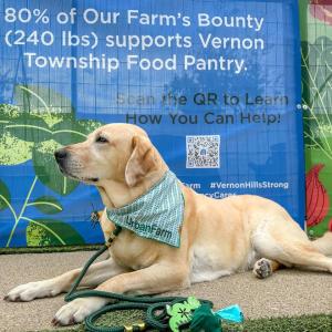 Keenam Jax laying in front of a sign.