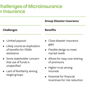 Table of "Key Benefits and Challenges of Microinsurance and Group Disaster Insurance"