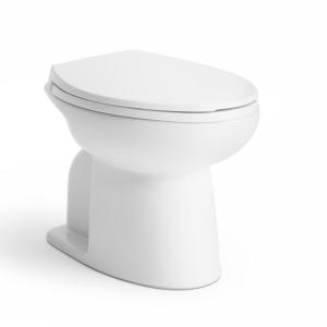 Kohler Rinse toilet
