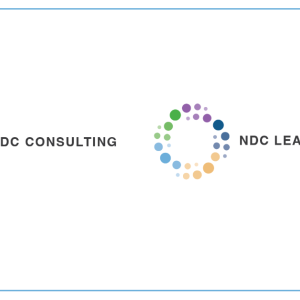 Colorful circle logo for NDC Consulting and NDC Learning Hub