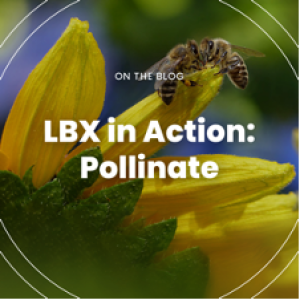 Bees on a flower. Reads LBX in Action: Pollinate