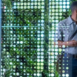 person standing in front of a living wall