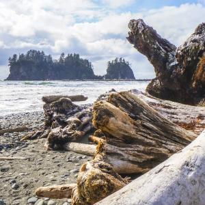 shoreline of the Pacific Ocean