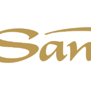 Las Vegas Sands logo