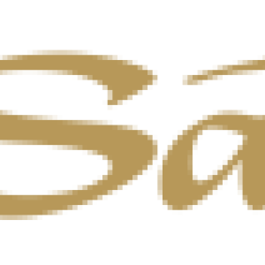 Las Vegas Sands logo