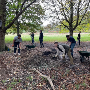 Clearing a local park – United Kingdom