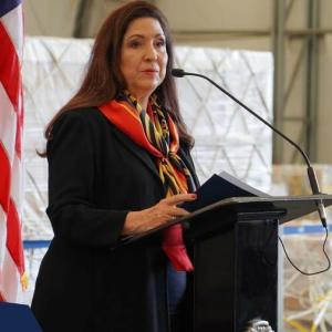 U.S. Ambassador to Costa Rica Dr. Cynthia A. Telles during the press event. Photo credit: Presidencia de la República @presidenciacr