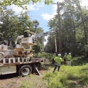 Lineworkers in a tree-dense area, one in the bucket of a lift truck.