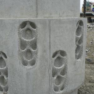 close up of Living Seawall