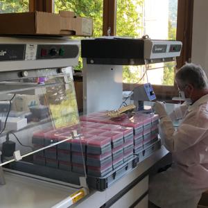 Pierre Taberlet prepares metabarcoding libraries from the loch water samples at Université Grenoble Alpes. | Photo by Neil Gemmell