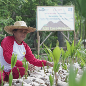 A farmer from the Philippines in a community nursery for coconut seedlings