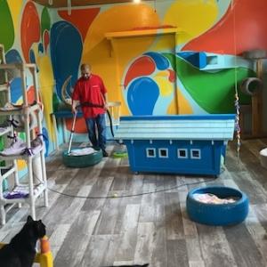 Volunteer vacuuming and cats in the foreground.