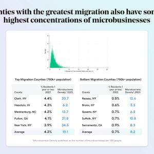 Chart showing the countries with the greatest migration also have some of the highest concentrations of microbusinesses.