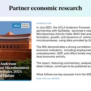 GoDaddy Partner economic research.