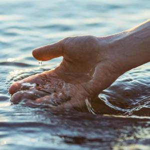 Close up of hand scooping up water