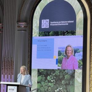 Mary Schapiro speaking at a podium, a digital display behind them.