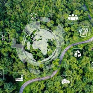 Double Materiality Assessment Data