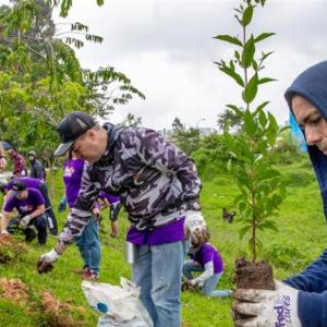 Team members planted trees along the Rionegro River