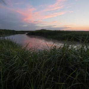 a pond surrounded by grasslands