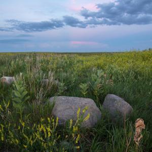 grassland prairie at sunrise
