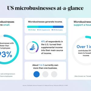 Chart showing US microbusinesses at a glance.