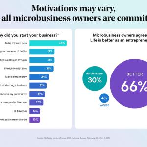 Motivations may vary but all microbusiness owners are committed.