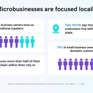 Chart showing microbusinesses focused locally.
