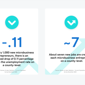 Chart showing impact that microbusinesses have.