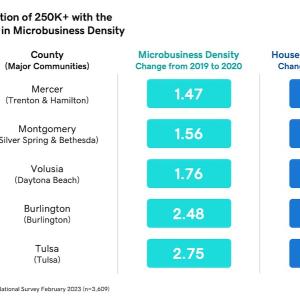 Chart showing the top 5 countries with over 250,000 in population that experienced a notable change in microbusiness density.