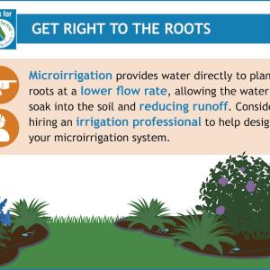 Get Right to the roots: Microirrigation provides water directly to plant roots at a lower flow rate allowing the water to soak into the soil and reducing runoff.